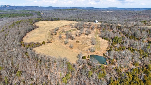 6128 Dabney Rd, Jerusalem, AR 72080 - photo 33