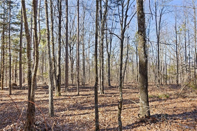 6128 Dabney Rd, Jerusalem, AR 72080 - photo 36
