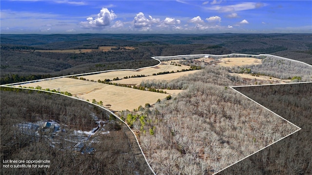 6128 Dabney Rd, Jerusalem, AR 72080 - photo 38