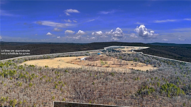 6128 Dabney Rd, Jerusalem, AR 72080 - photo 39
