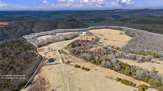 6128 Dabney Rd, Jerusalem, AR 72080 - photo 41