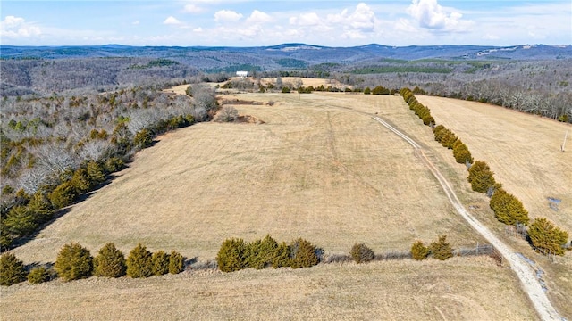 6128 Dabney Rd, Jerusalem, AR 72080 - photo 5