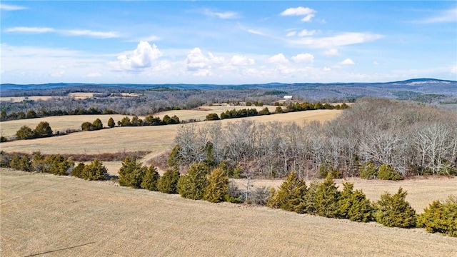 6128 Dabney Rd, Jerusalem, AR 72080 - photo 6