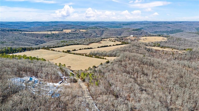 6128 Dabney Rd, Jerusalem, AR 72080 - photo 7
