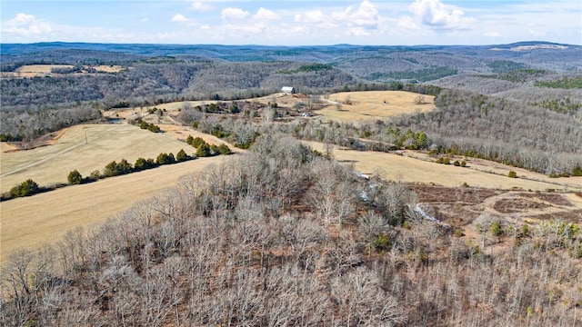 6128 Dabney Rd, Jerusalem, AR 72080 - photo 9