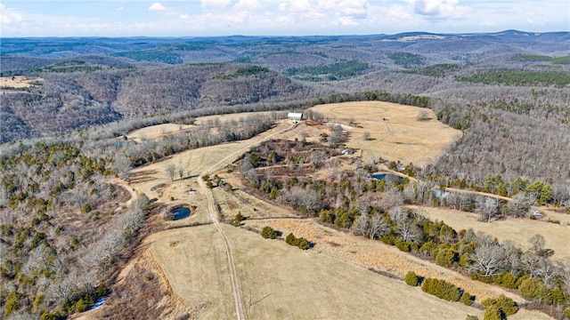 6128 Dabney Rd, Jerusalem, AR 72080 - photo 10