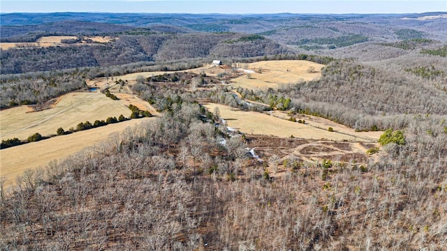 6128 Dabney Rd, Jerusalem, AR 72080 - photo 11