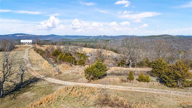 6128 Dabney Rd, Jerusalem, AR 72080 - photo 12