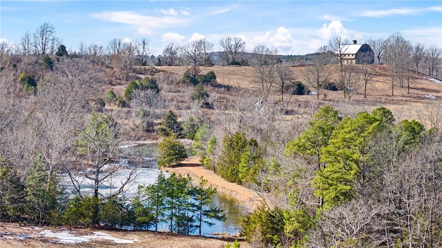 6128 Dabney Rd, Jerusalem, AR 72080 - photo 14