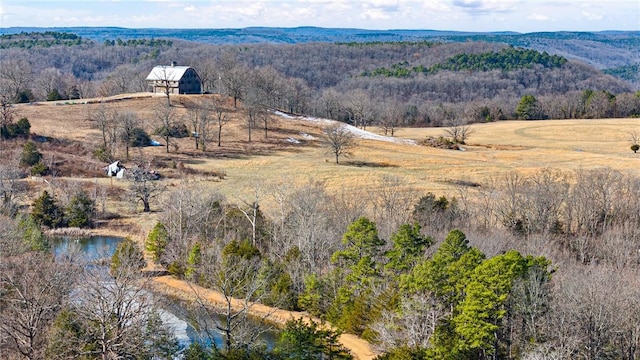 6128 Dabney Rd, Jerusalem, AR 72080 - photo 1