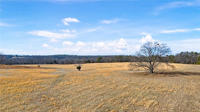 6128 Dabney Rd, Jerusalem, AR 72080 - photo 16