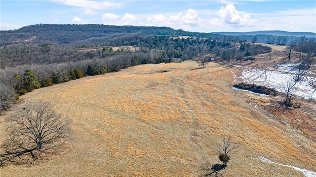 6128 Dabney Rd, Jerusalem, AR 72080 - photo 17
