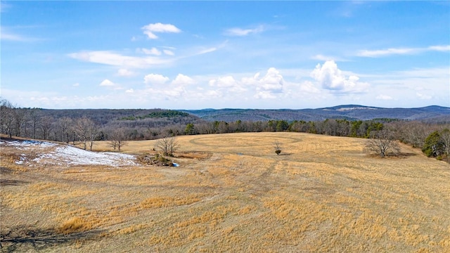 6128 Dabney Rd, Jerusalem, AR 72080 - photo 19