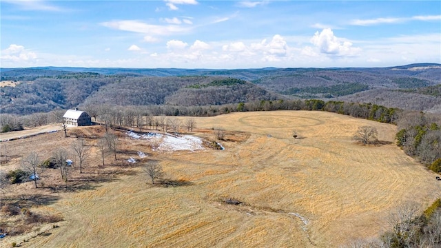 6128 Dabney Rd, Jerusalem, AR 72080 - photo 20