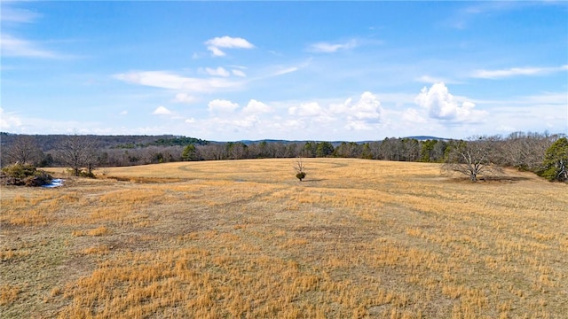 6128 Dabney Rd, Jerusalem, AR 72080 - photo 23
