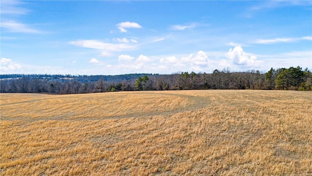 6128 Dabney Rd, Jerusalem, AR 72080 - photo 25