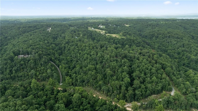 Esculapia Hollow Rd Lot 3, Rogers, AR 72758 - photo 9