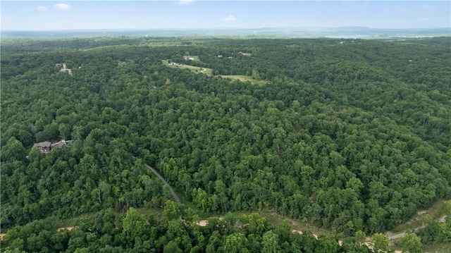 Esculapia Hollow Rd Lot 3, Rogers, AR 72758 - photo 10