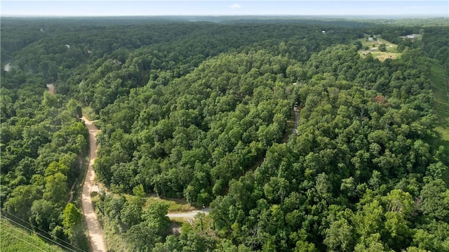 Esculapia Hollow Rd Lot 3, Rogers, AR 72758 - photo 11
