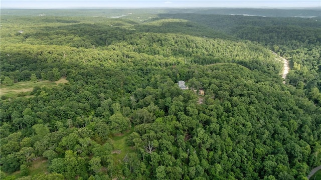 Esculapia Hollow Rd Lot 3, Rogers, AR 72758 - photo 7