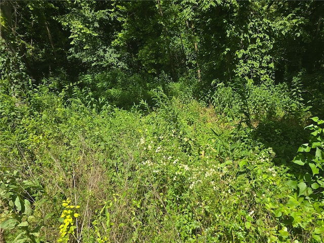 Esculapia Hollow Rd Lot 3, Rogers, AR 72758 - photo 3