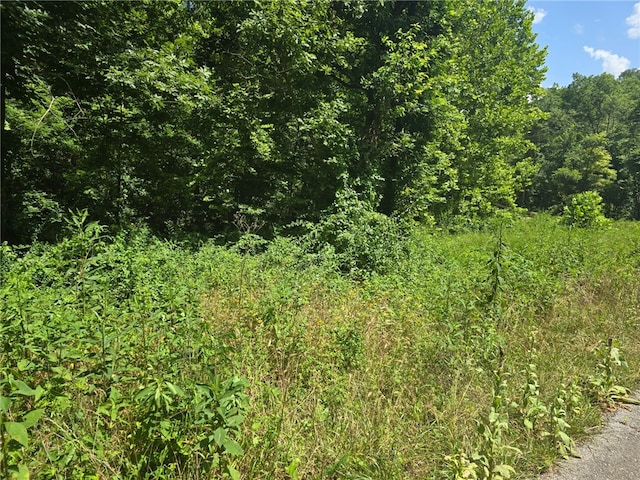 Esculapia Hollow Rd Lot 3, Rogers, AR 72758 - photo 4