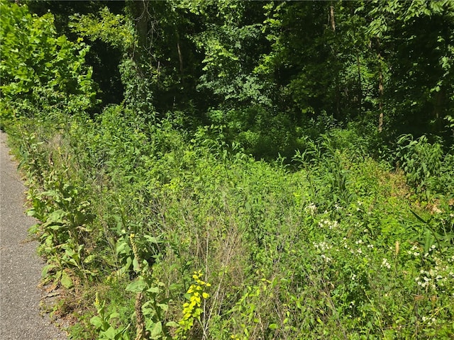Esculapia Hollow Rd Lot 3, Rogers, AR 72758 - photo 5