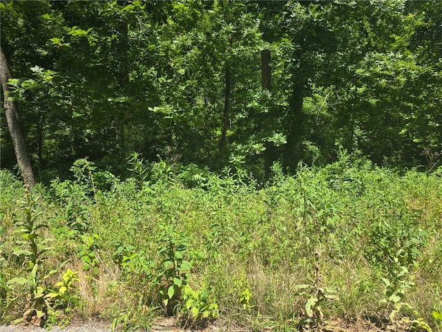 Esculapia Hollow Rd Lot 3, Rogers, AR 72758 - photo 6