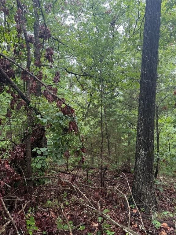 LOT7, BLOCK5 Banff Dr, Bella Vista, AR 72715 - photo 1