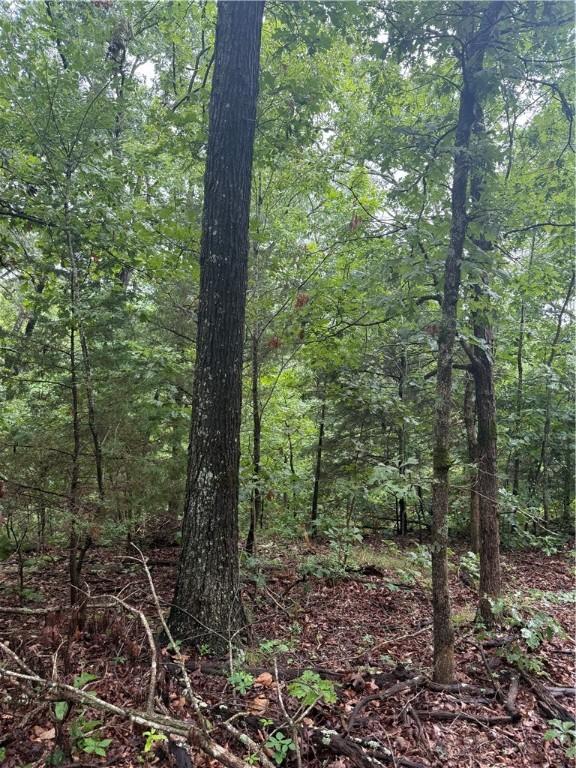 LOT7, BLOCK5 Banff Dr, Bella Vista, AR 72715 - photo 2