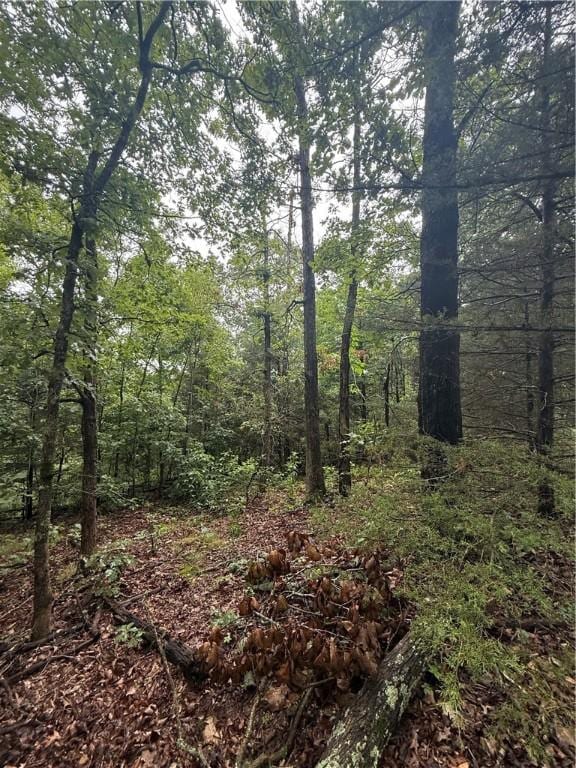 LOT7, BLOCK5 Banff Dr, Bella Vista, AR 72715 - photo 4