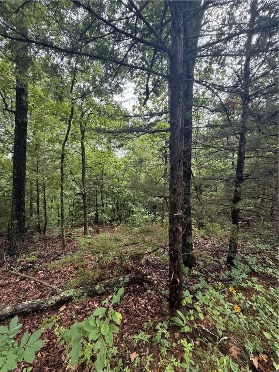 LOT7, BLOCK5 Banff Dr, Bella Vista, AR 72715 - photo 5