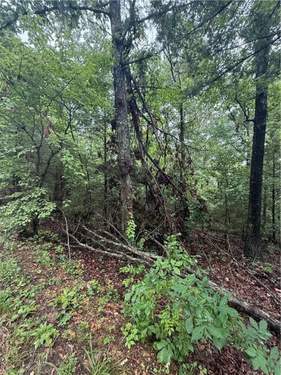LOT7, BLOCK5 Banff Dr, Bella Vista, AR 72715 - photo 6