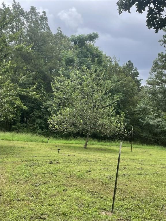 565 County Road 1750, London, AR 72847 - photo 43