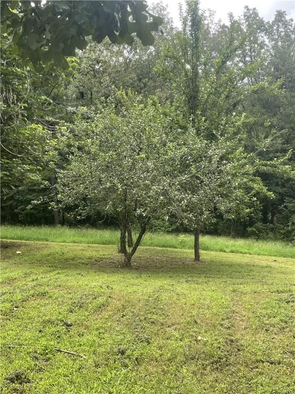 565 County Road 1750, London, AR 72847 - photo 45