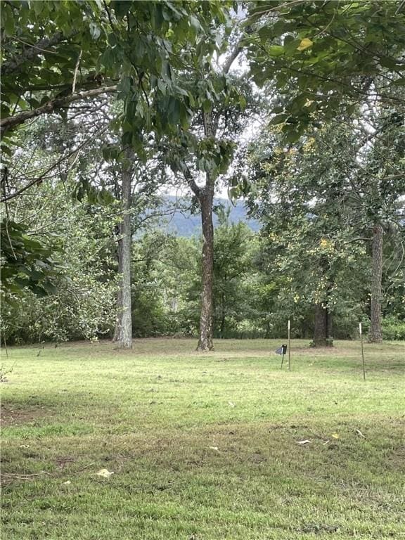 565 County Road 1750, London, AR 72847 - photo 48