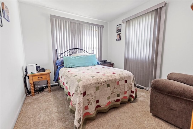 89 Creekview Rd, Harrison, AR 72601 - carpeted bedroom featuring baseboards