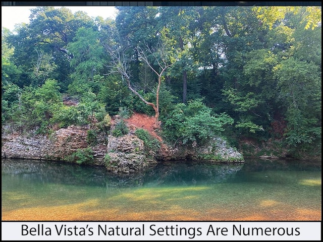 Nettle Ln, Bella Vista, AR 72714 - photo 21