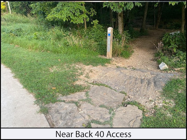 Nettle Ln, Bella Vista, AR 72714 - photo 13