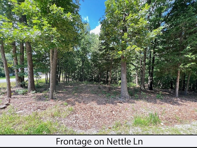 Nettle Ln, Bella Vista, AR 72714 - photo 4