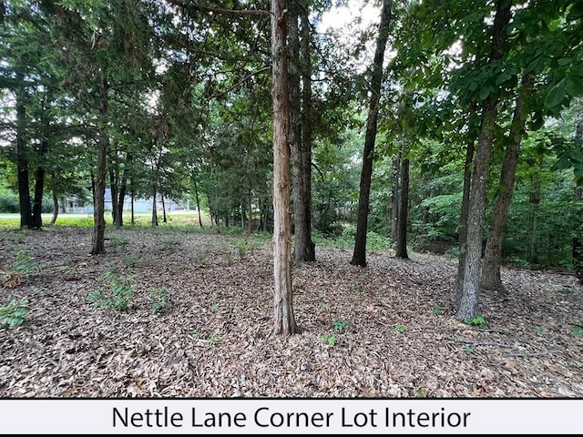 Nettle Ln, Bella Vista, AR 72714 - photo 6