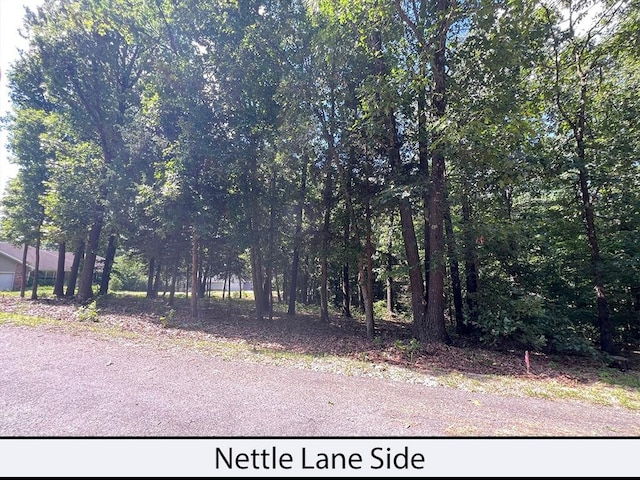 Nettle Ln, Bella Vista, AR 72714 - photo 2