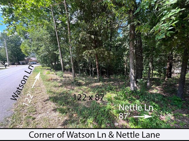Nettle Ln, Bella Vista, AR 72714 - photo 3