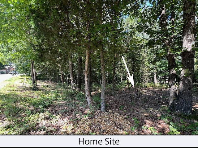 Nettle Ln, Bella Vista, AR 72714 - photo 7