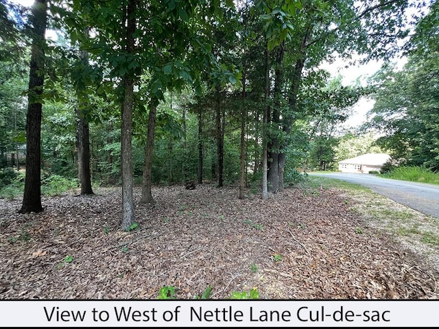 Nettle Ln, Bella Vista, AR 72714 - photo 5