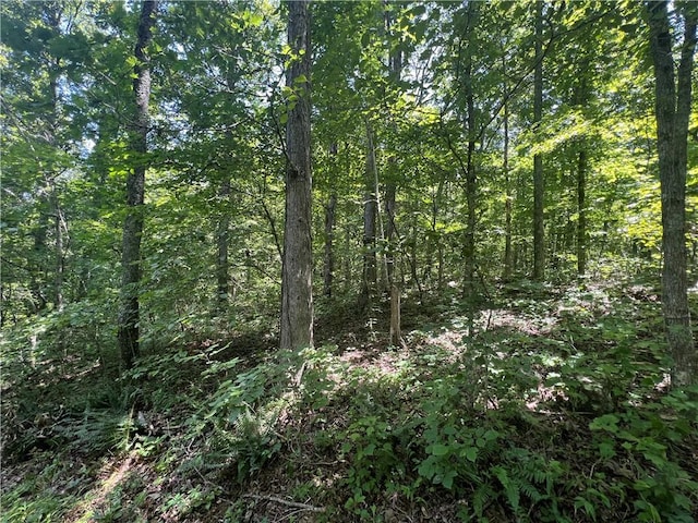 704 Old Hwy 66, Leslie, AR 72645
