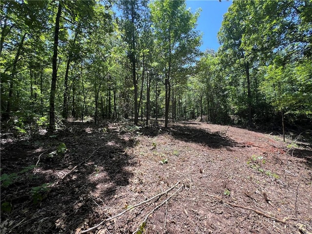 704 Old Hwy 66, Leslie, AR 72645