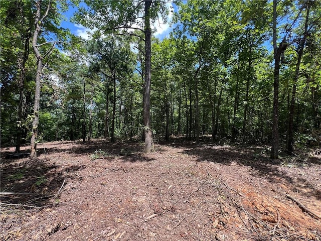 704 Old Hwy 66, Leslie, AR 72645