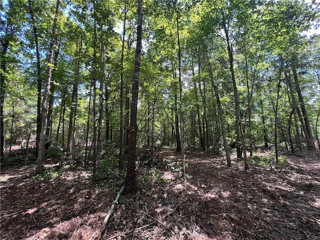 704 Old Hwy 66, Leslie, AR 72645