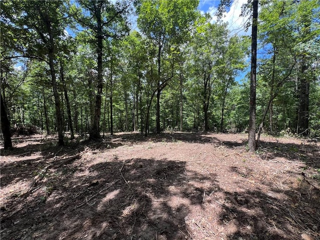 704 Old Hwy 66, Leslie, AR 72645